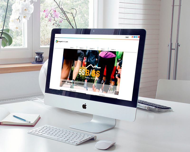 Diseño web Txingudi Online